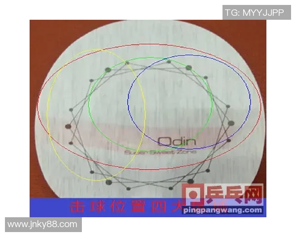 乒乓球男子与女子竞技差异探讨及其对运动发展的影响分析 乒乓球男子与女子竞技差异探讨及其对运动发展的影响分析