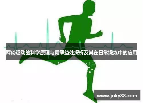 踝磅运动的科学原理与健康益处探析及其在日常锻炼中的应用