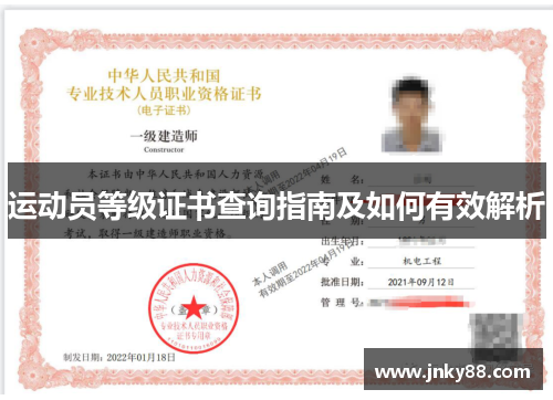 运动员等级证书查询指南及如何有效解析